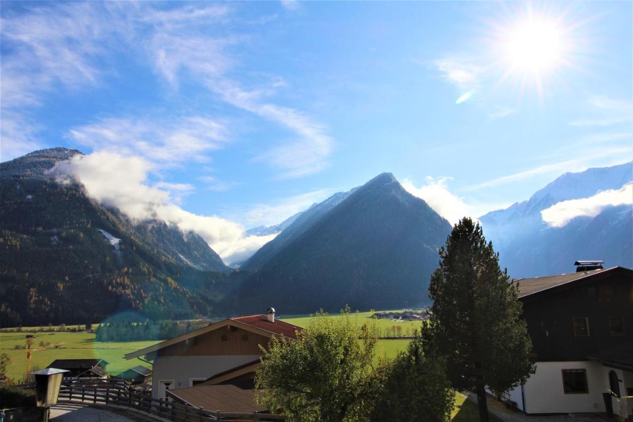 Appartements Cilli Neukirchen am Großvenediger Dış mekan fotoğraf